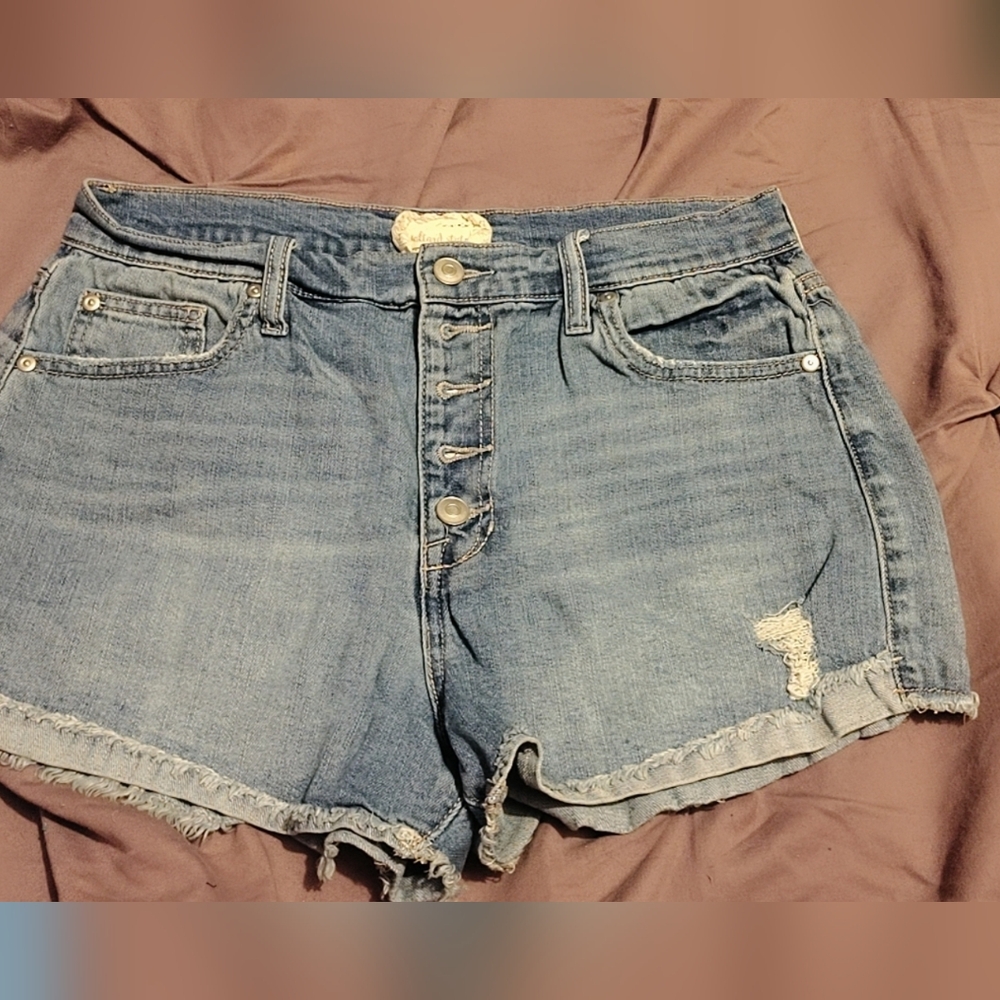 Free People Blue Denim Shorts with Lace Detail